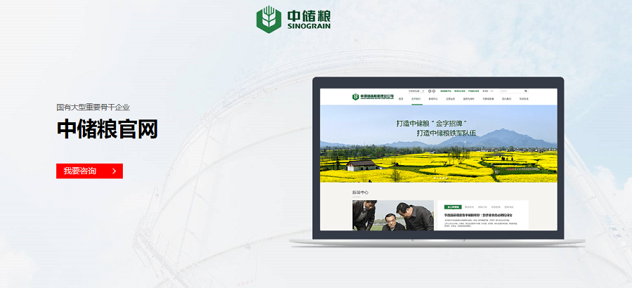 中储粮官网-D体育(中国)·官方网页版案例 中储粮官网-D体育(中国)·官方网页版案例